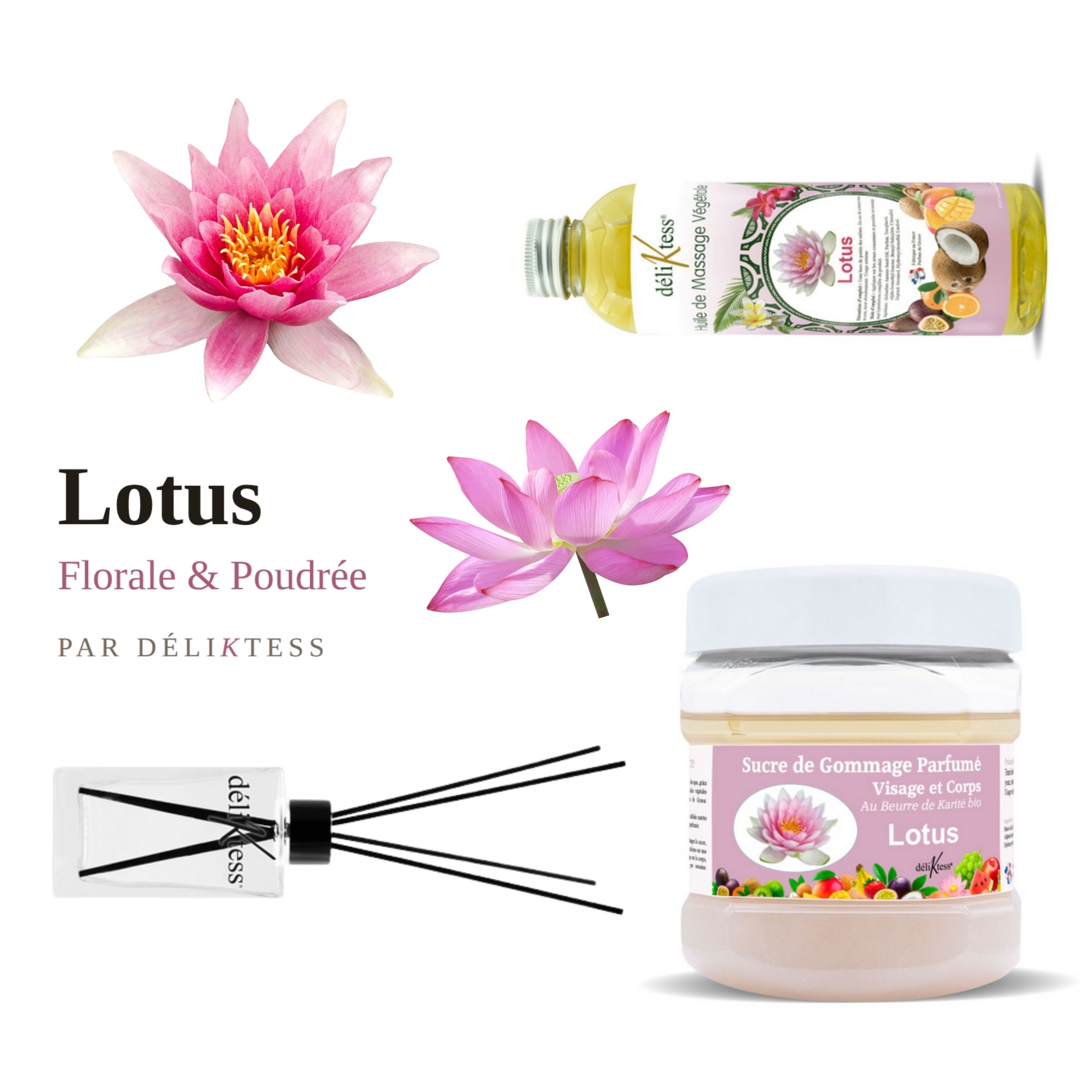 Lotus - Deliktess